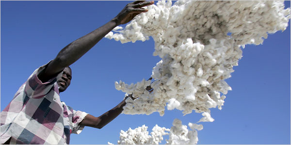 CottonBallsAfrica.jpg