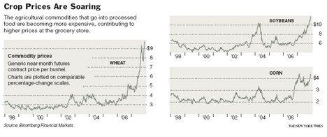 GrainPricesGraph.jpg